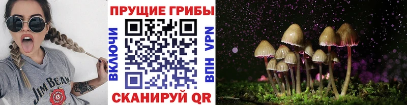 что такое   shop какой сайт  Галлюциногенные грибы Psilocybine cubensis  Москва 