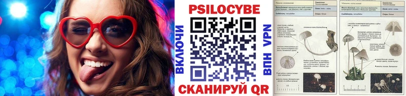 Галлюциногенные грибы ЛСД Москва