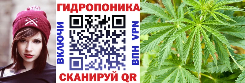 купить наркотик  Москва  Конопля White Widow 